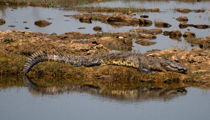 Blog images - 2024 - Adventures in Zambia Livingstone and Victoria Falls travel guide Destination DSC