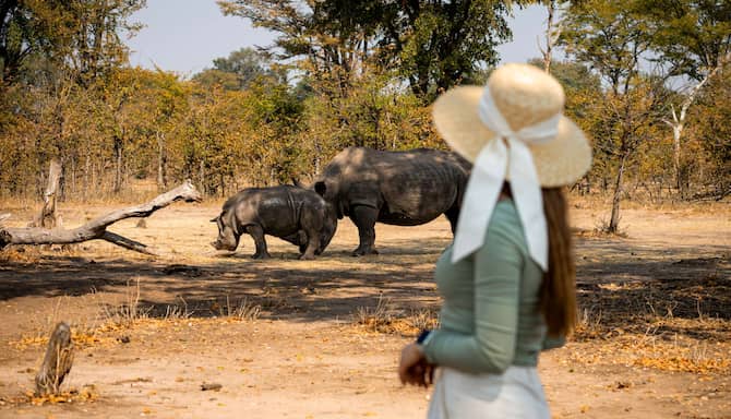 Blog images - 2024 - Adventures in Zambia Livingstone and Victoria Falls travel guide Destination Pocket Wanderings