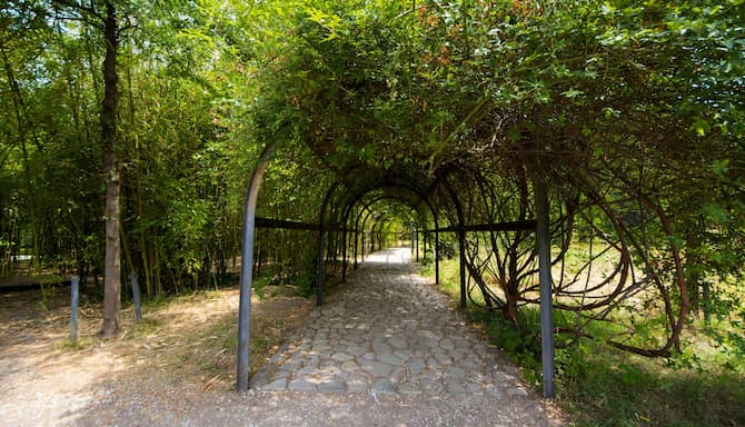 Blog images - 2024 - Tsinandali Estate A Radisson Collection Hotel Destination GettyImages