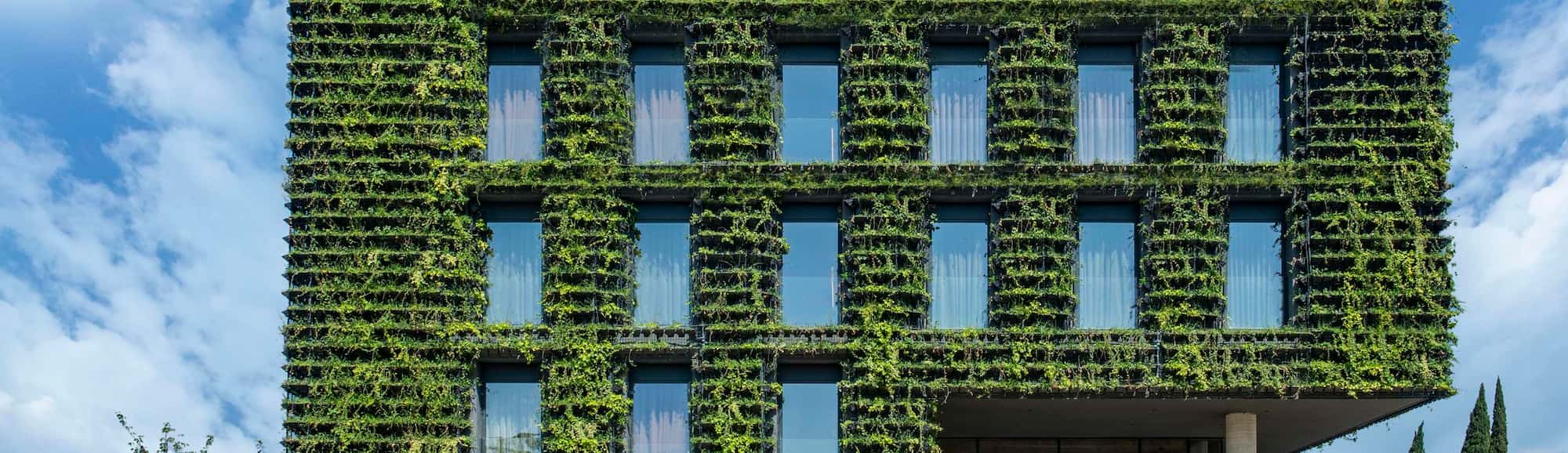 Blog images - 2024 - Tsinandali Estate A Radisson Collection Hotel Destination DSC