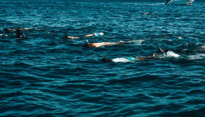 Blog images - 2024 - Mauritius Travel Guide with Radisson Hotels Destination PHOTOS