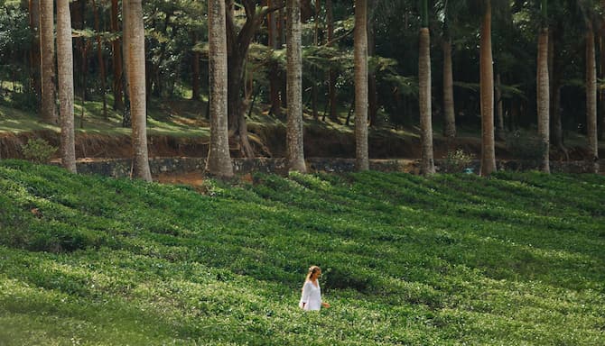 Blog images - 2024 - Mauritius Travel Guide with Radisson Hotels Destination ONA