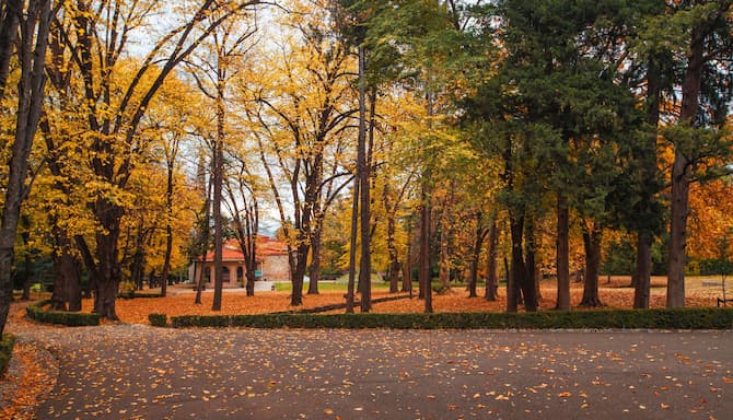 Blog images - 2024 - Tsinandali Estate A Radisson Collection Hotel Destination Garden