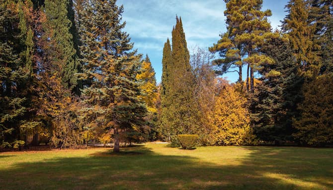 Blog images - 2024 - Tsinandali Estate A Radisson Collection Hotel Destination Garden