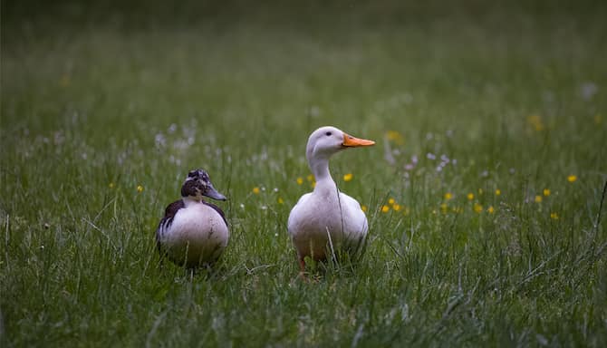 Blog images - 2025 VOL 2 - Attractions in B rgerpark