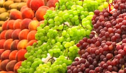 Blog images - 2025 VOL 2 - Local markets in Bilbao