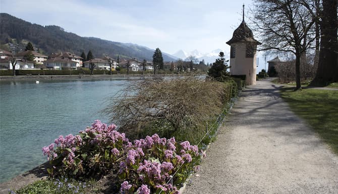 Blog images - 2025 VOL 2 - Canton Bern Switzerland