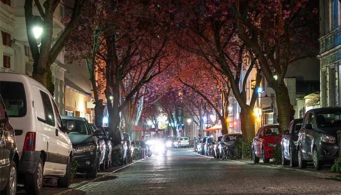 Blog images - 2025 VOL 2 - Experience Bonn Festivals