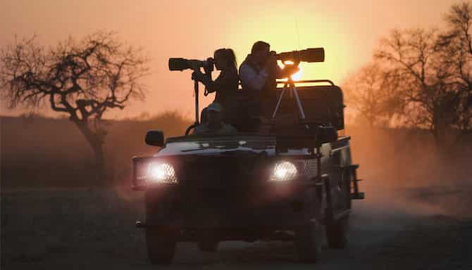 Blog images - 2025 VOL 2 - South Africa honeymoon safari