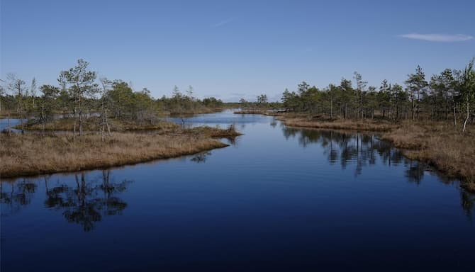 Blog images - 2025 VOL 2 - Kemeri Nature Reserve in Latvia