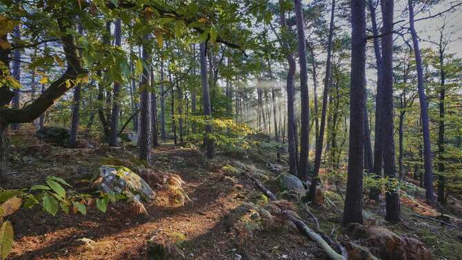 Blog images - 2025 VOL 2 - Hiking near Paris