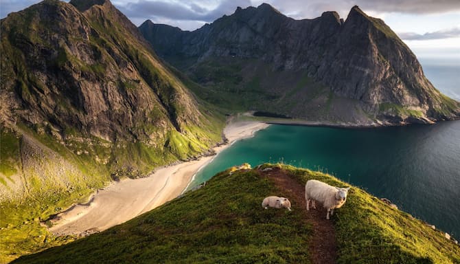 Blog images - 2025 VOL 2 - Discovering Lofoten Island s Attractions