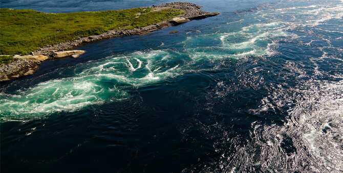 Blog images - 2025 VOL 2 - Saltstraumen Maelstrom Nature s Wild Dance
