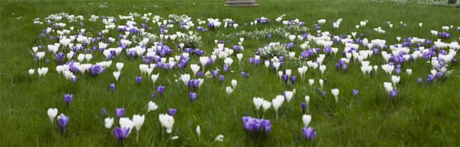 Blog images - 2025 VOL 2 - Discover the magic of Konzerthaus Dortmund art culture Westfalenpark Dortmund