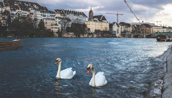 Blog images - 2025 VOL 2 - Basel Spalentor