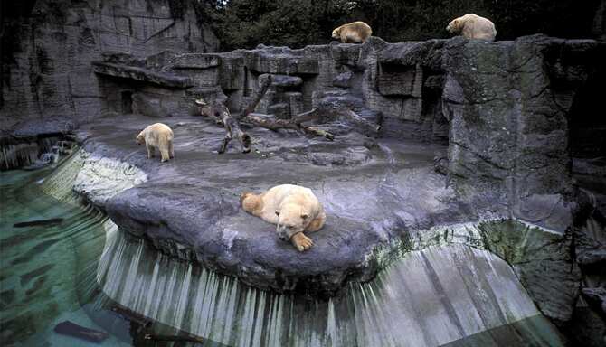 Blog images - 2025 VOL 2 - BASEL ZOO SWITZERLAND