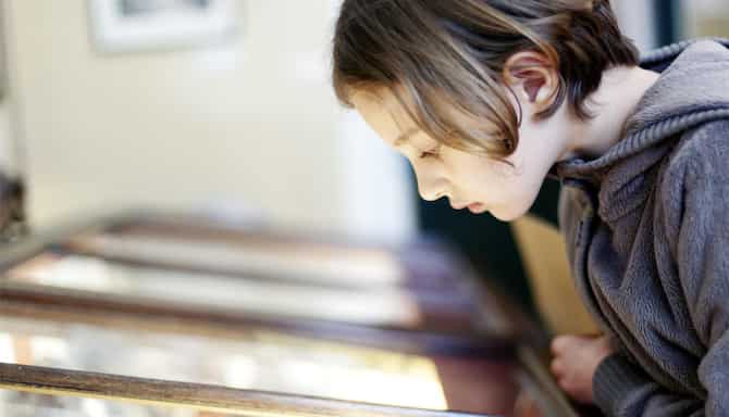 Blog images - 2025 VOL 2 - Explore basel natural history museum wonders