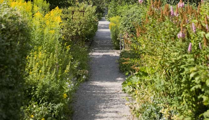 Blog images - 2025 VOL 2 - Bonn Botanic Gardens