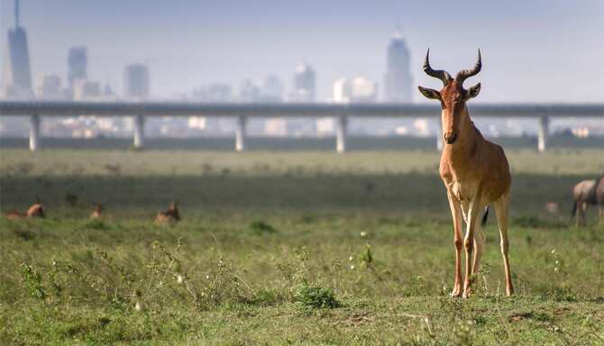 Blog images - 2025 VOL 2 - GettyImages