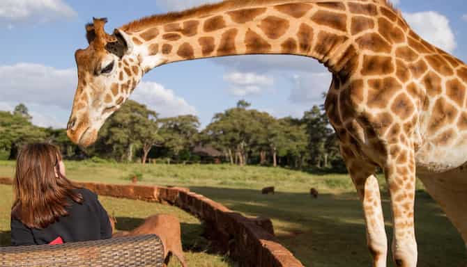 Blog images - 2025 VOL 2 - GettyImages