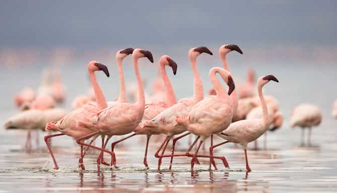 Blog images - 2025 - Discover Chia with its stunning beaches dramatic coastline and unspoilt landscape Resorts GettyImage