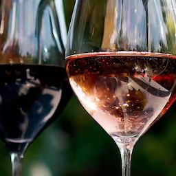 Blog images - 2025 - Lyon Wine Tours