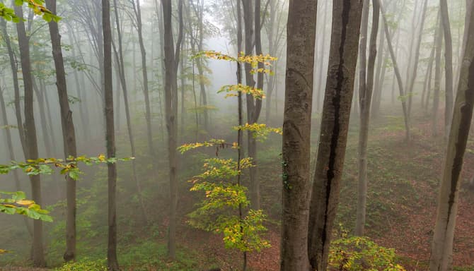 Blog images - 2025 - Hiking in Istanbul