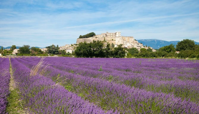 Blog images - 2025 - Valence Auvergne Rh ne Alpes France
