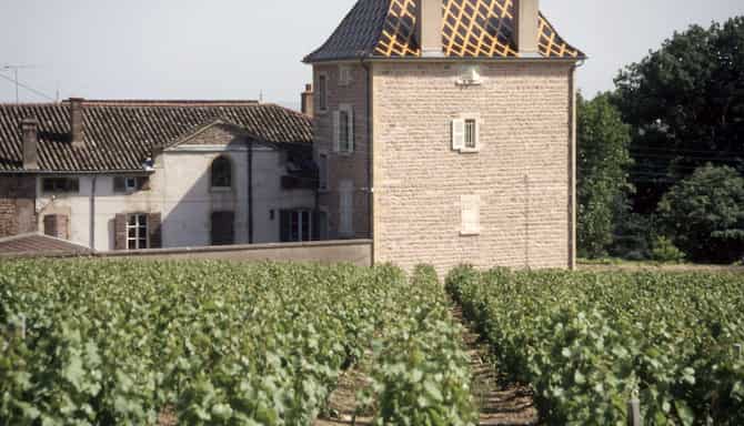 Blog images - 2025 - Ch teau in the vineyards of Beaujolais