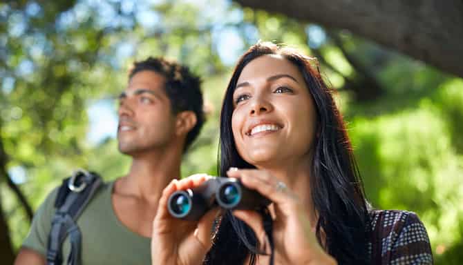 Blog images - 2025 - Cotigao Wildlife Sanctuary