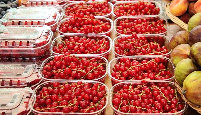 Blog images - 2025 - Edinburgh Markets