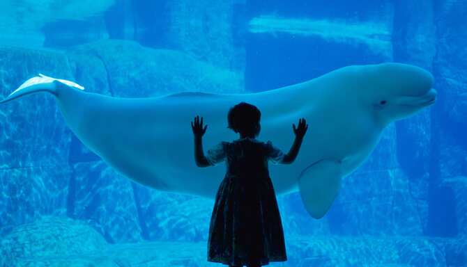 Blog images - 2025 - AQUARIUM Manchester