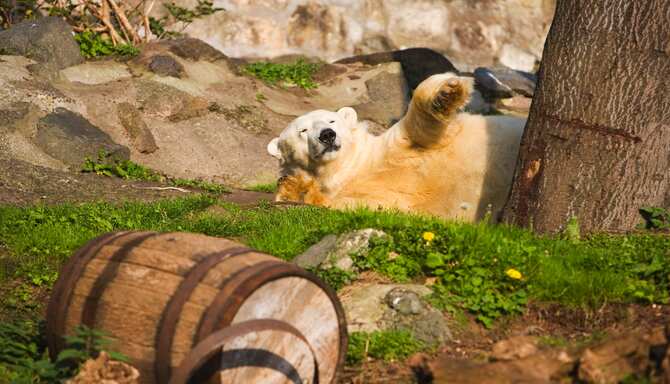 Blog images - 2025 - zoo Edinburgh Scotland