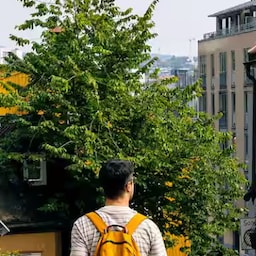 Blog images - 2025 - Things to Do in Oslo A Day Itinerary