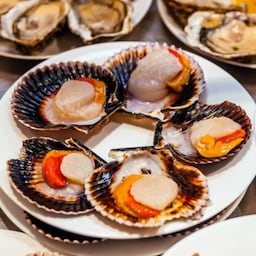 Blog images - 2025 - Madrid Food a taste of tradition link