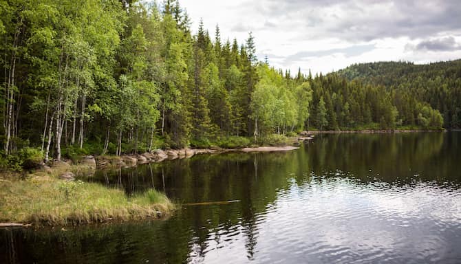 Blog images - 2025 - Things to Do in Oslo A Day Itinerary Destination Nordmarka lake