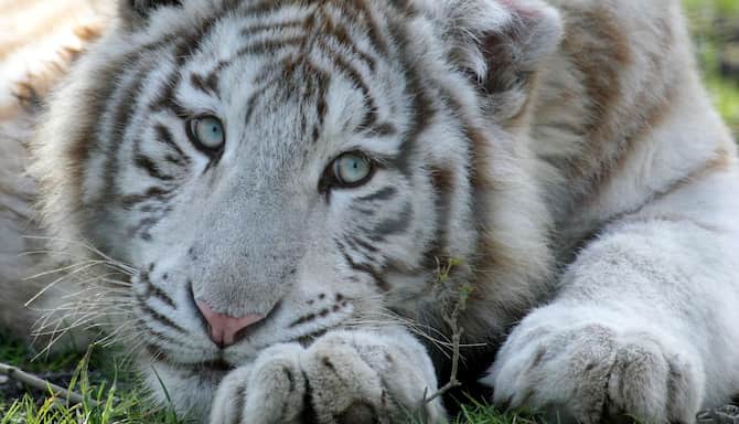 Blog images - 2025 - The Perfect Destination For A Magical Stay Discover Radisson Blu Paris Marne la Vall e Destination