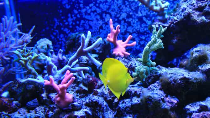 Blog images - 2025 - The Perfect Destination For A Magical Stay Discover Radisson Blu Paris Marne la Vall e Destination