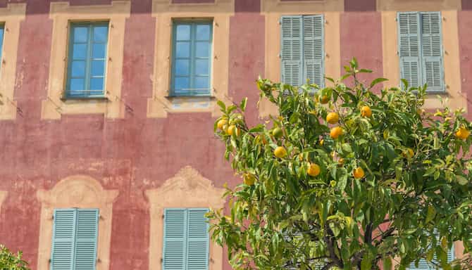 Blog images - 2025 - Matisse Museum Cimiez Nice France