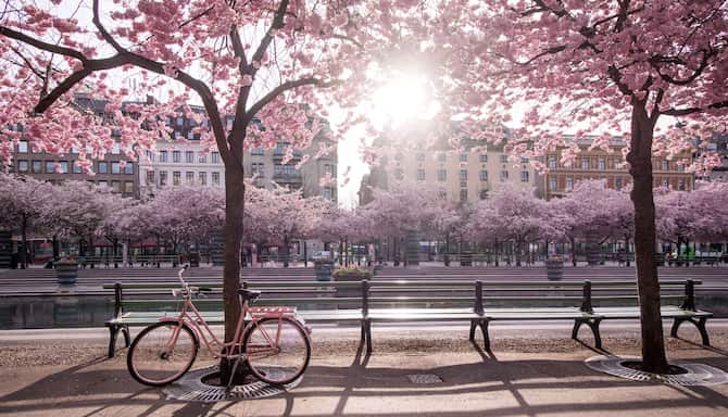 Blog images - 2025 - Discover Stockholm tours hidden gems await Destination Stockholm s Kungstr dg rden plaza