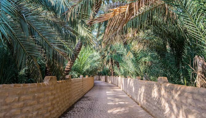 Blog images - 2025 - Al Ain Oasis located in Abu Dhabi UAE