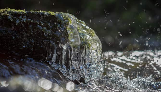 Blog images - 2025 - Day trips from Brussels discover hidden gems Experiences Nature Near Brussels