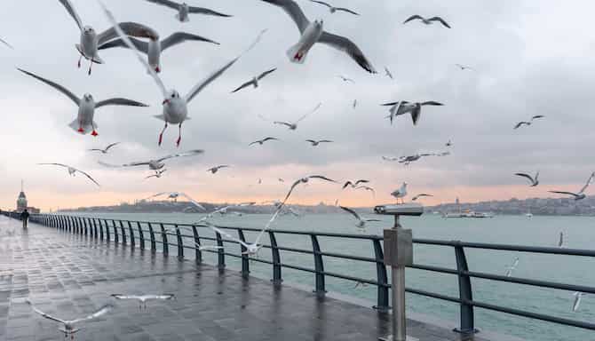 Blog images - 2025 - Istanbul Turkey