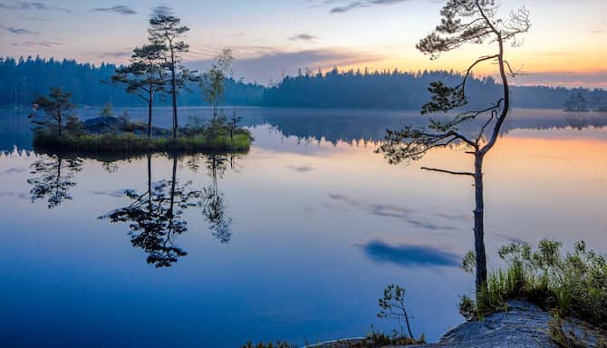 Blog images - 2025 - Day trips from Stockholm discover hidden gems Experiences Tyresta National Park Sweden