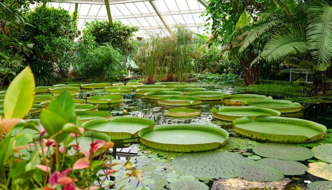 Blog images - 2025 - Day trips from Brussels discover hidden gems Experiences Botanical Garden Meise