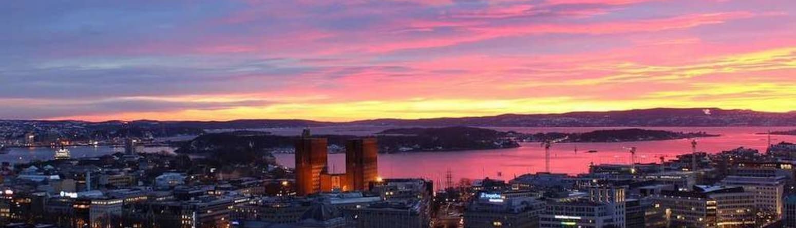 Blu Scandinavia Hotel Oslo Pink Skies - Your Room with a #BluView