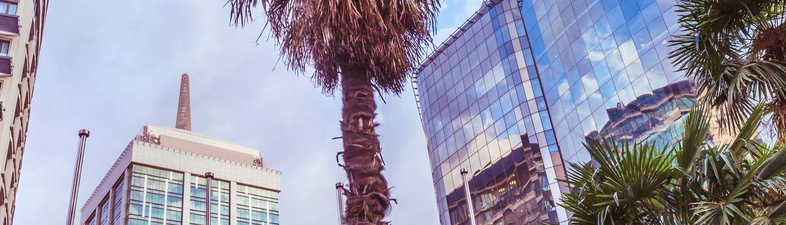 Nelson Mandela Square - A Guide to Shopping in Johannesburg