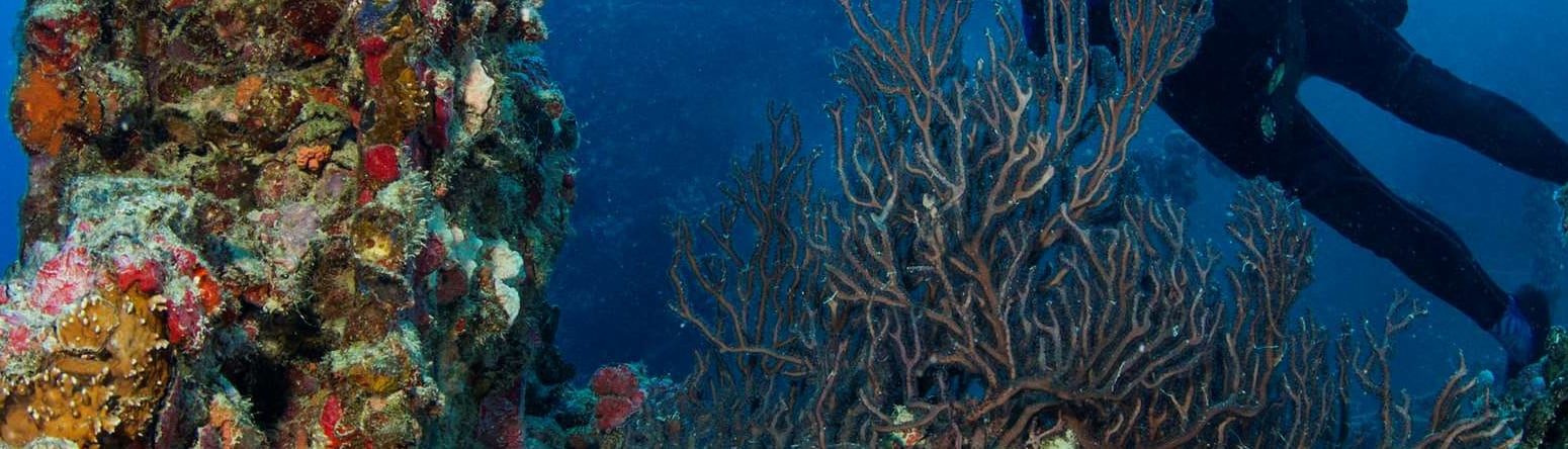 Shipwreck - 8 things you need to know about the Red Sea