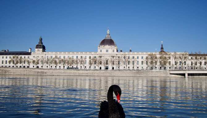 Blog images - Grand Dome - culinary tour Lyon