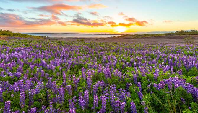 Blog images - 2023 - Where to Go in August Reykjavik